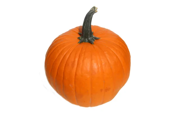 Dynia Odizolowany Biało Duża Dynia Dziękczynienie Dynio Dynia Halloween Jesienna — Zdjęcie stockowe