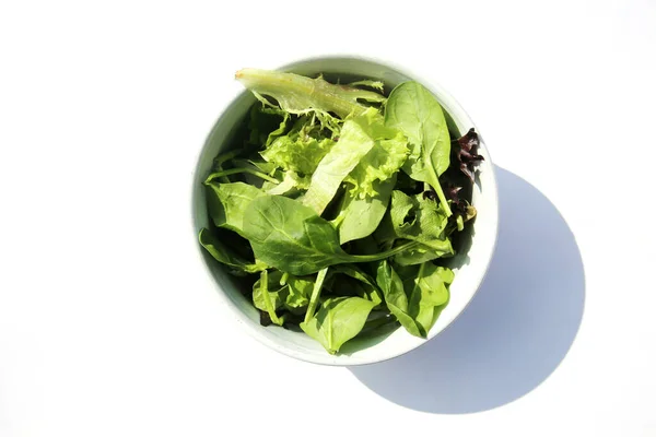 Green Salad Fresh Garden Salad Isolated White — Stock Photo, Image