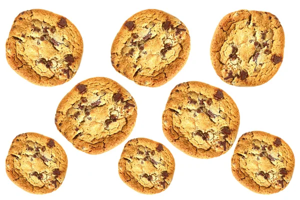 Cookie Chocolate Chip Cookie Vorhanden Frisch Gebackener Schokoladenkeks Isoliert Auf — Stockfoto