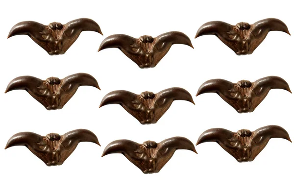 Water Caltrop Seeds Bat Nut Devil Pod Plantez Des Graines — Photo