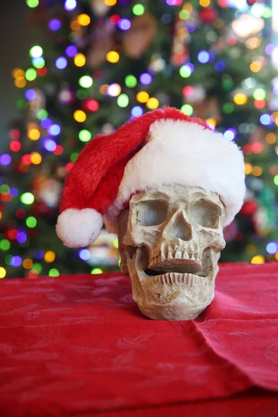 Christmas Skull Spooky Human Skull Human Eyes Wearing Christmas Santa — Stock Photo, Image