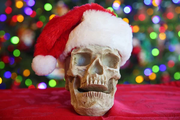 Noel Kafatası. Noel Baba şapkası takan İnsan Gözlü Ürkütücü İnsan Kafatası. Noel ağacının önündeki insan kafatası. Mutlu noeller. Lanetli Noel. Noel Zombisi. 