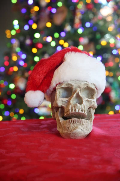 Calavera Navidad Espeluznante Cráneo Humano Con Ojos Humanos Usando Sombrero —  Fotos de Stock