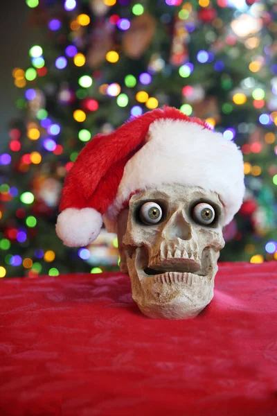 Christmas Skull Spooky Human Skull Human Eyes Wearing Christmas Santa — Stock Photo, Image