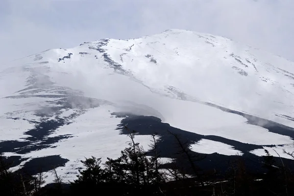 mt. fuji. Fuji hakone Izu Milli Parkı, Japonya