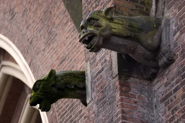 gargoyles, eindhoven, Hollanda