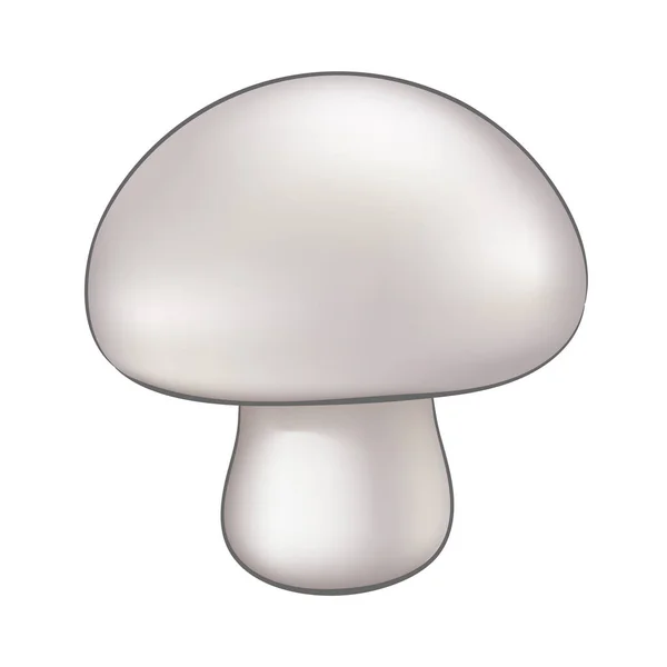 Illustration Eines Essbaren Pilzes Isoliert Auf Weißem Hintergrund — Stockvektor