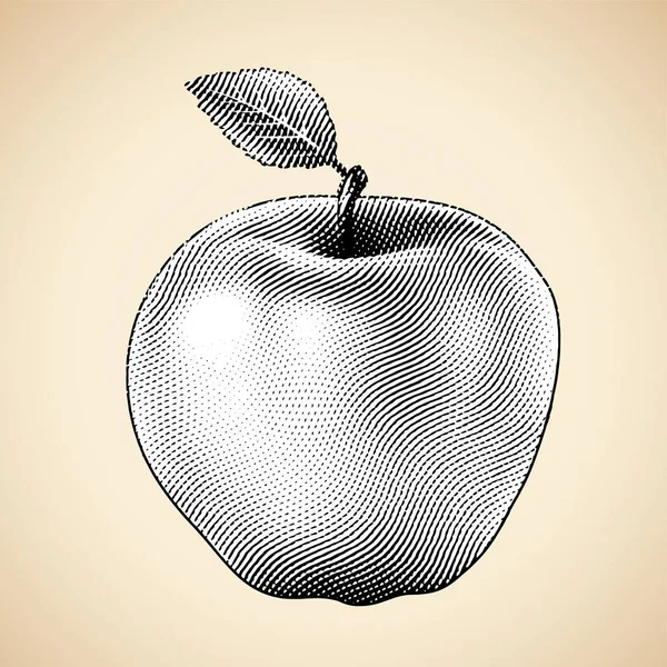 Ilustração Scratchboard Gravado Apple Com Preenchimento Branco — Vetor de Stock