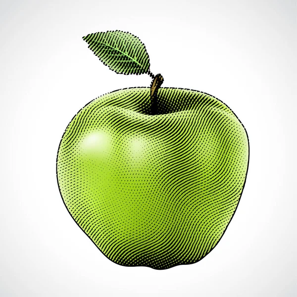 Ilustração Scratchboard Gravado Apple Com Preenchimento Verde —  Vetores de Stock
