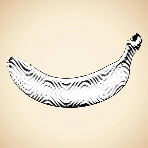 Ilustrasi Dari Scratchboard Engraved Banana Dengan Pengisian Putih - Stok Vektor