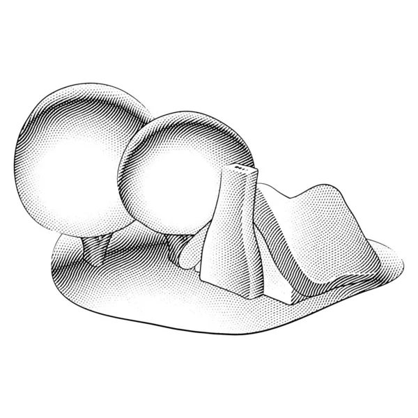 Ilustrace Scratchboardu Rytým Pohádkovým Domem Kulatými Stromy Zahradě — Stockový vektor