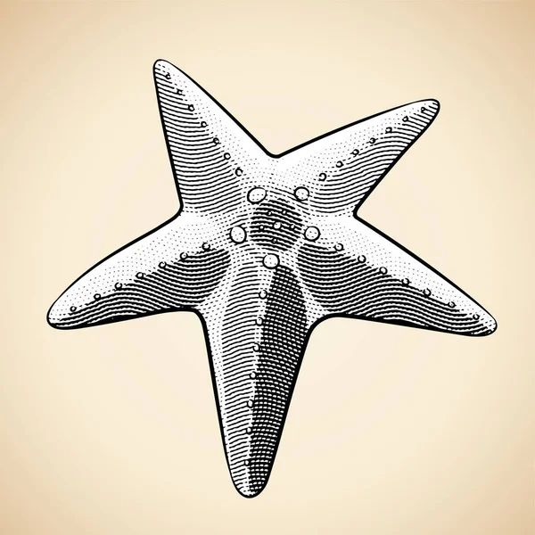Illustration Scratchboard Engraved Starfish White Fill — Stock Vector