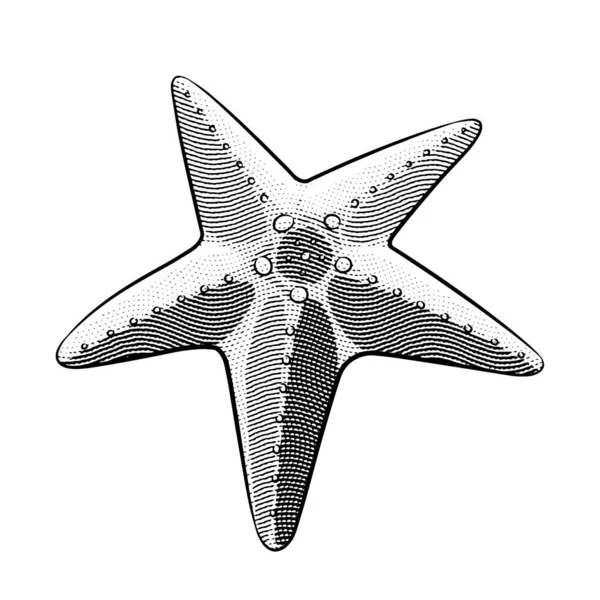 Illustration Von Scratchboard Gravur Seestern — Stockvektor