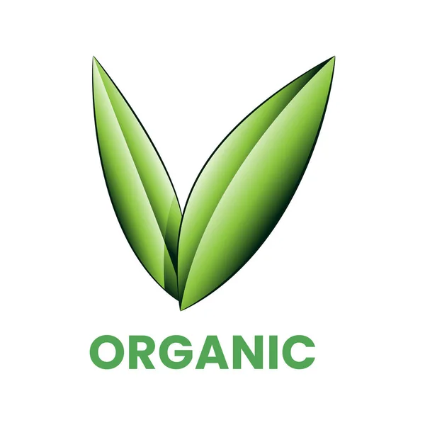 Icono Orgánico Con Hojas Verdes Sombreadas Aisladas Sobre Fondo Blanco — Vector de stock