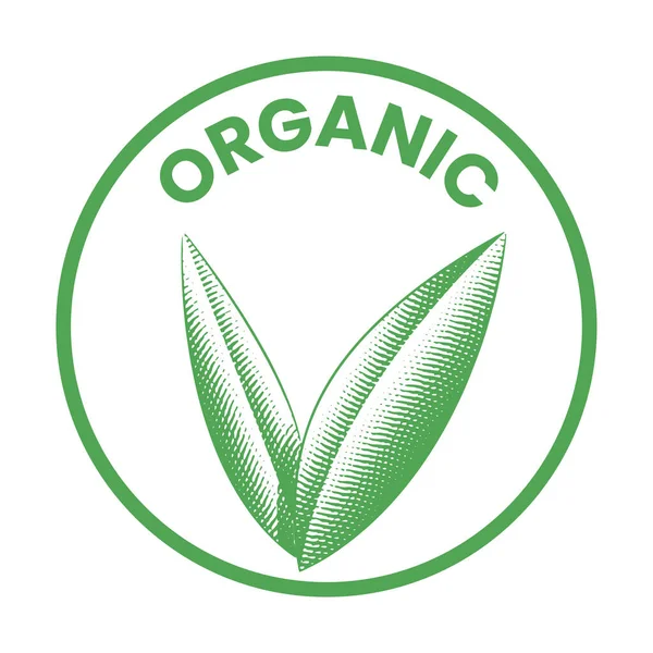 Organikus Kerek Ikon Vésett Zöld Levelek Elszigetelt Fehér Háttér — Stock Vector