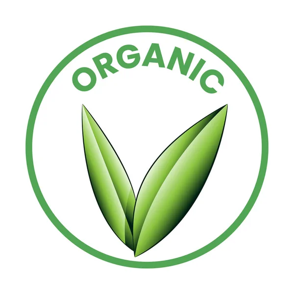 Organisches Rundes Symbol Mit Schattierten Grünen Blättern Auf Weißem Hintergrund — Stockvektor