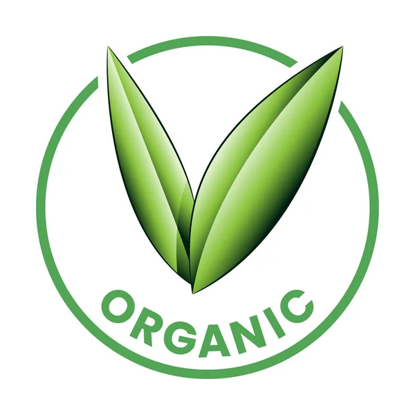 Ícone Redondo Orgânico Com Folhas Verdes Sombreadas Isoladas Fundo Branco — Vetor de Stock