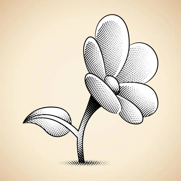 Illustration Scratchboard Engraved Daisy Flower White Fill Isolated White Background — Stock Vector