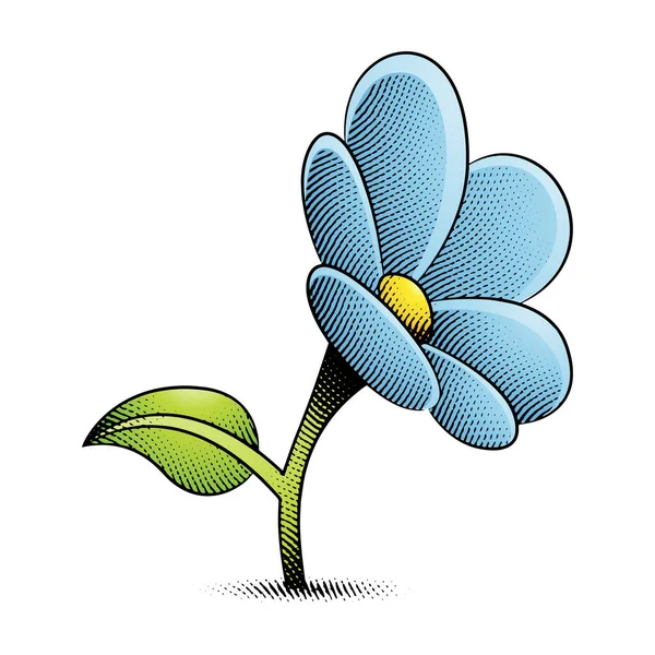Illustration Fleur Marguerite Gravée Scratchboard Avec Remplissage Jaune Bleu Clair — Image vectorielle