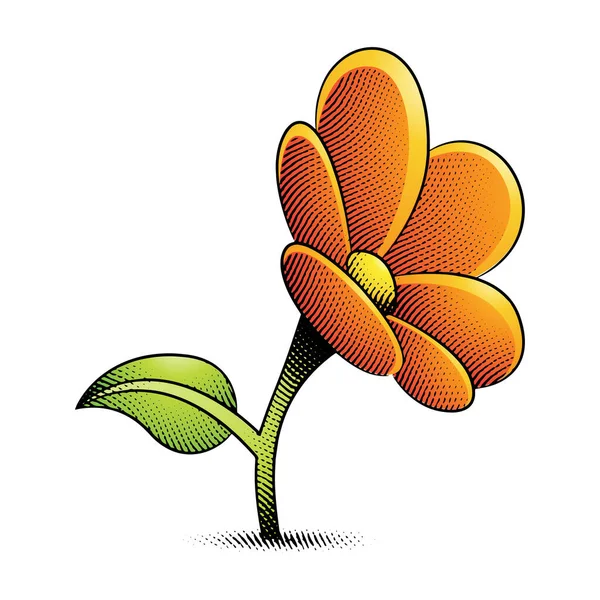 Ilustración Scratchboard Engraved Daisy Flower Con Relleno Amarillo Naranja Aislado — Archivo Imágenes Vectoriales