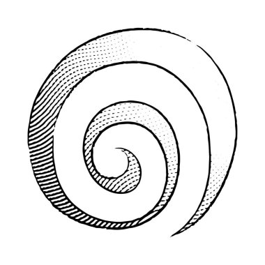 Beyaz Arkaplanda izole edilmiş Bir Galaksinin İşlenmiş Simgesi Çizimi