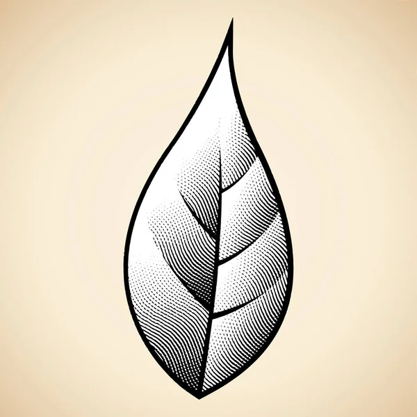 Ілюстрація Scratchboard Engraved Leaf Ізольована Задньому Плані Beige — стоковий вектор