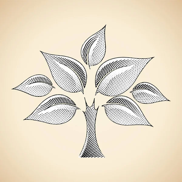 Ilustração Scratchboard Árvore Gravada Com Preenchimento Branco Isolado Fundo Bege —  Vetores de Stock