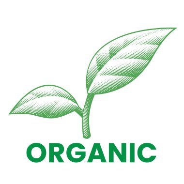 Organik oymalı Yeşil İşlenmiş Simge Beyaz Arkaplan 'da izole edilmiş