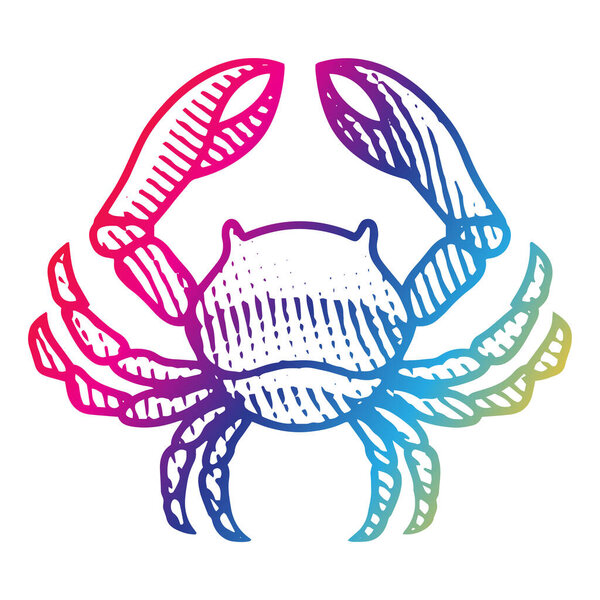 Illustration of Scratchboard Engraved Crab in Rainbow Colors isolated on a White Background