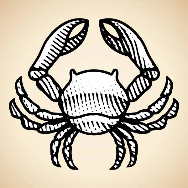 Illustration Scratchboard Engraved Crab White Fill Isolated Beige Background — Stock Vector