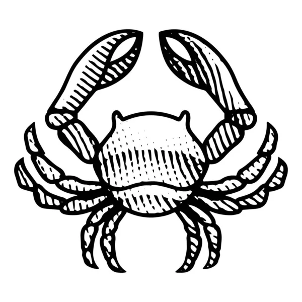 Illustration Scratchboard Engraved Crab Isolated White Background — Stock Vector