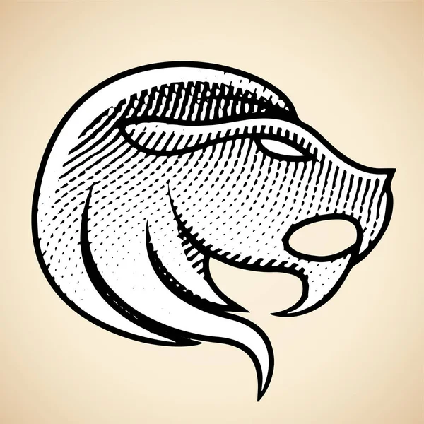 Illustration Lion Gravé Scratchboard Avec Remplissage Blanc Isolé Sur Fond — Image vectorielle