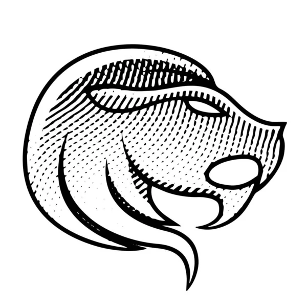 Ilustração Scratchboard Leão Gravado Isolado Fundo Branco — Vetor de Stock