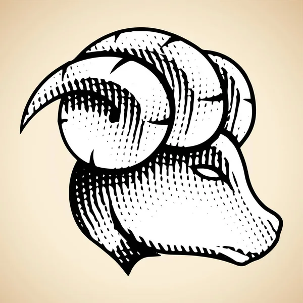 Ilustracja Scratchboard Graved Ram Profile Zobacz White Fill Izolowane Beżowym — Wektor stockowy