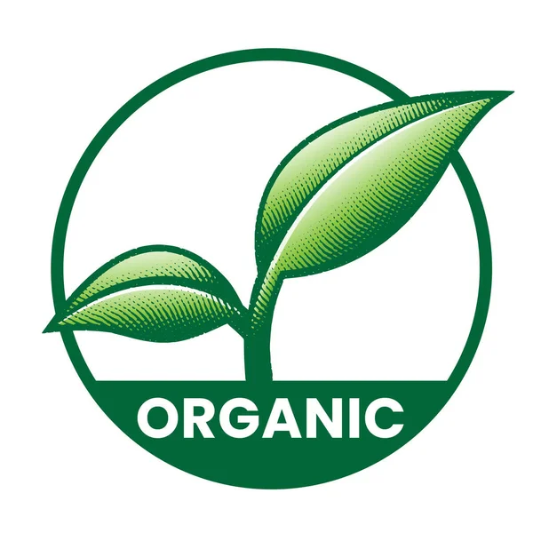 Organiczna Okrągła Ikona Zielonymi Liśćmi Białym Tle — Wektor stockowy