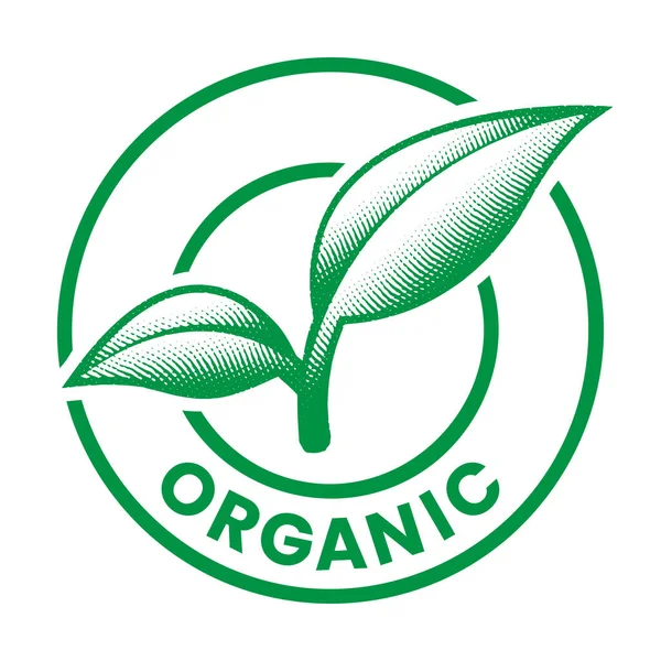 Icona Rotonda Incisa Organica Con Foglie Verdi Isolate Sfondo Bianco — Vettoriale Stock