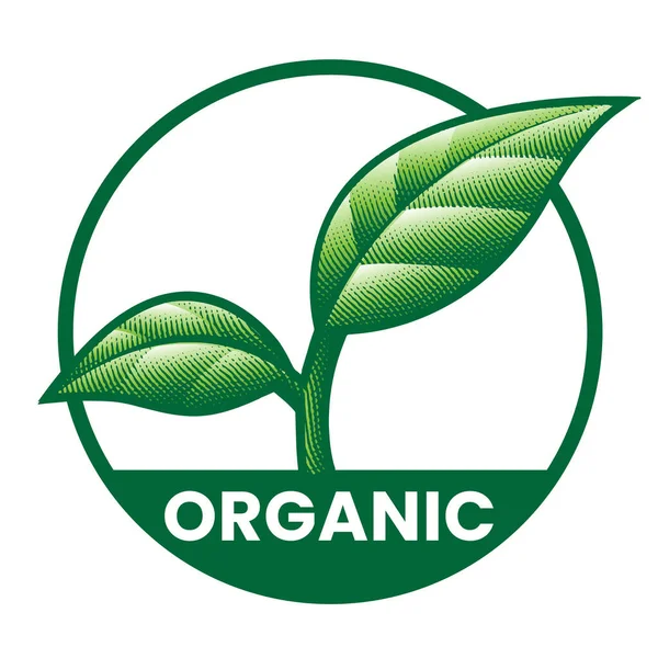 Organiczna Okrągła Ikona Zielonymi Liśćmi Białym Tle — Wektor stockowy
