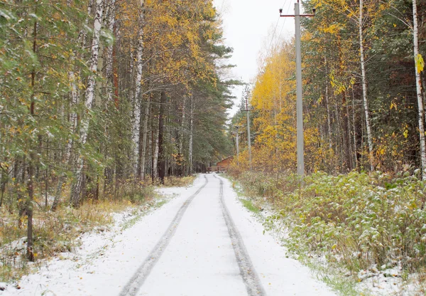 Camino en el bosque cubierto por la primera nieve en otoño — Foto de Stock