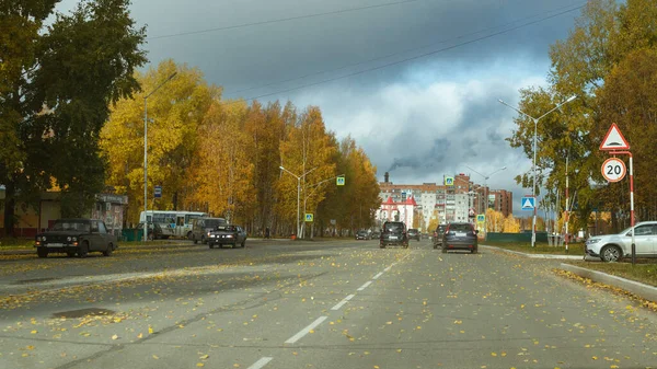 Strezhevoy Rússia Outubro 2021 Folhas Outono Estrada — Fotografia de Stock