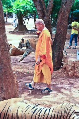 kanchanaburi Budist kaplan Tapınağı, Tiger