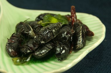 Kızarmış böcekler