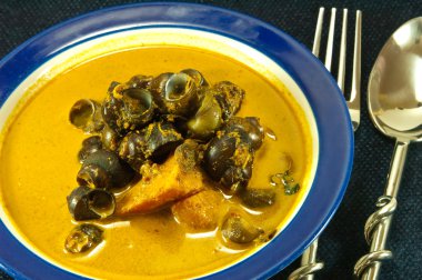 gölet salyangoz köri