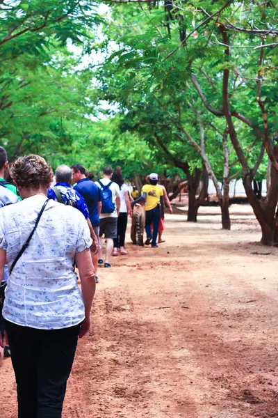 kanchanaburi Budist kaplan Tapınağı, Tiger