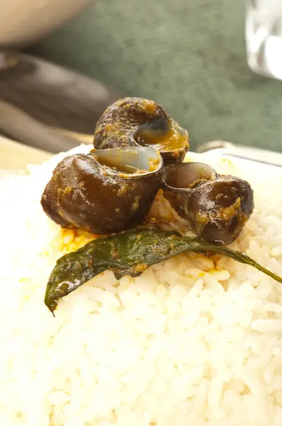 Pond snail curry — Stock Photo, Image