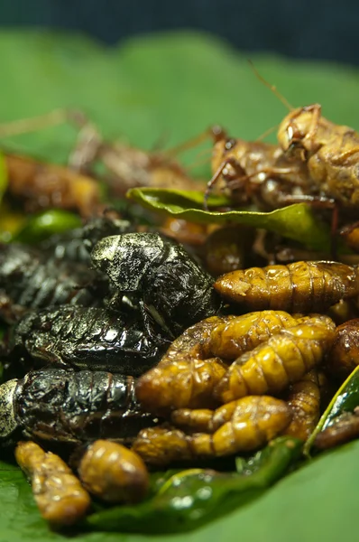Deep-fried insects — Stock Photo, Image