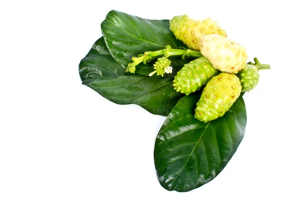 Noni sobre blanco — Foto de Stock