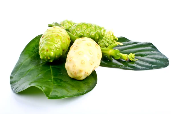 Noni sobre blanco — Foto de Stock