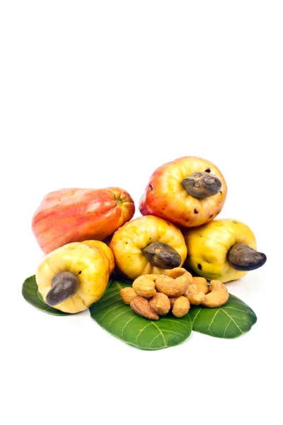 Anacardo Manzana —  Fotos de Stock