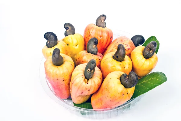 Cashewnötter äpple — Stockfoto