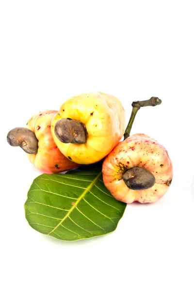 Cashew Nut Apple — Stock Photo, Image